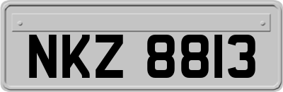 NKZ8813