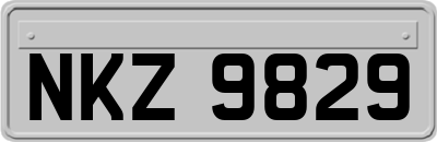 NKZ9829