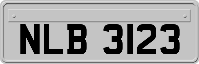 NLB3123