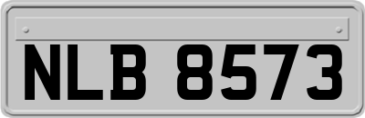 NLB8573