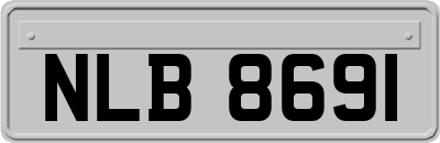 NLB8691