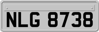 NLG8738