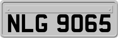 NLG9065