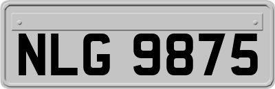 NLG9875