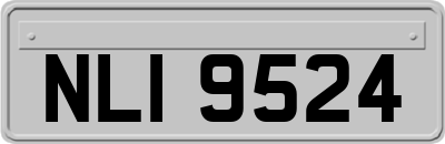 NLI9524