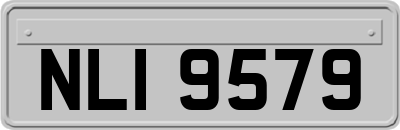 NLI9579