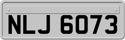 NLJ6073