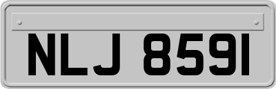 NLJ8591
