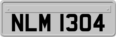 NLM1304