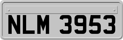 NLM3953