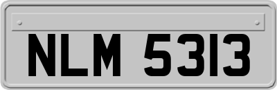 NLM5313