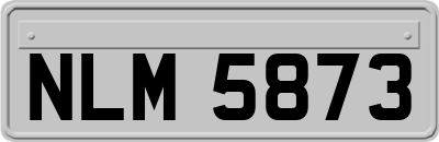 NLM5873