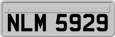 NLM5929