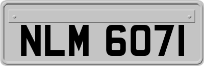 NLM6071