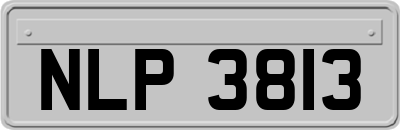 NLP3813
