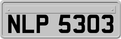 NLP5303