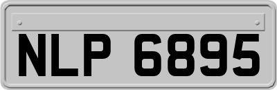 NLP6895
