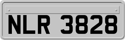NLR3828