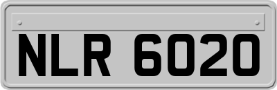 NLR6020