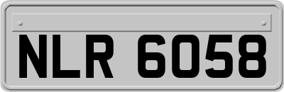 NLR6058