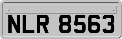 NLR8563