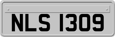 NLS1309