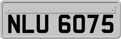 NLU6075