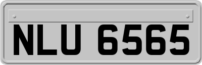 NLU6565