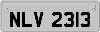 NLV2313