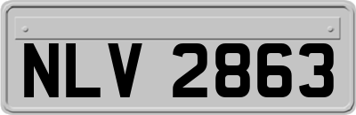 NLV2863