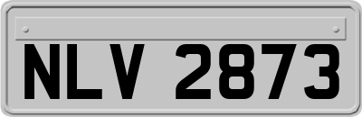 NLV2873
