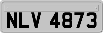 NLV4873