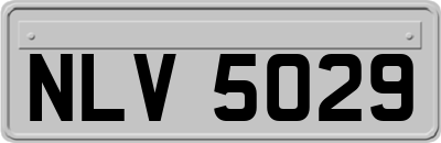 NLV5029
