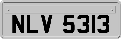 NLV5313