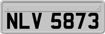 NLV5873