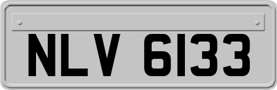 NLV6133