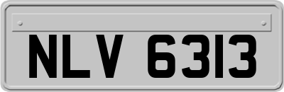 NLV6313
