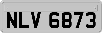 NLV6873