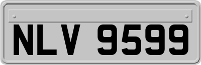 NLV9599