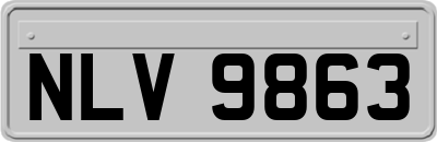 NLV9863