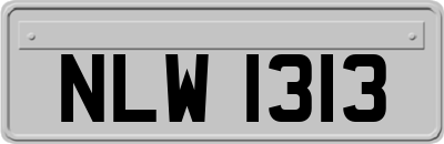 NLW1313