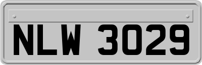 NLW3029