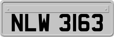 NLW3163