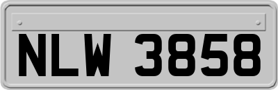 NLW3858