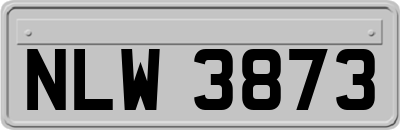 NLW3873