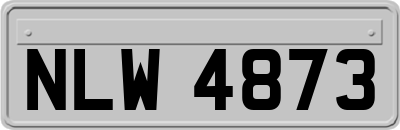 NLW4873