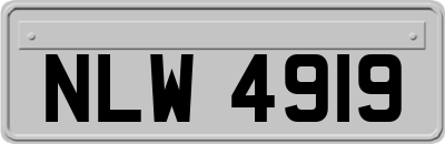 NLW4919