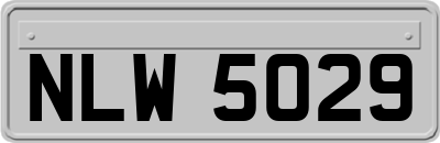NLW5029
