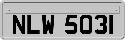 NLW5031