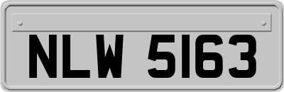 NLW5163